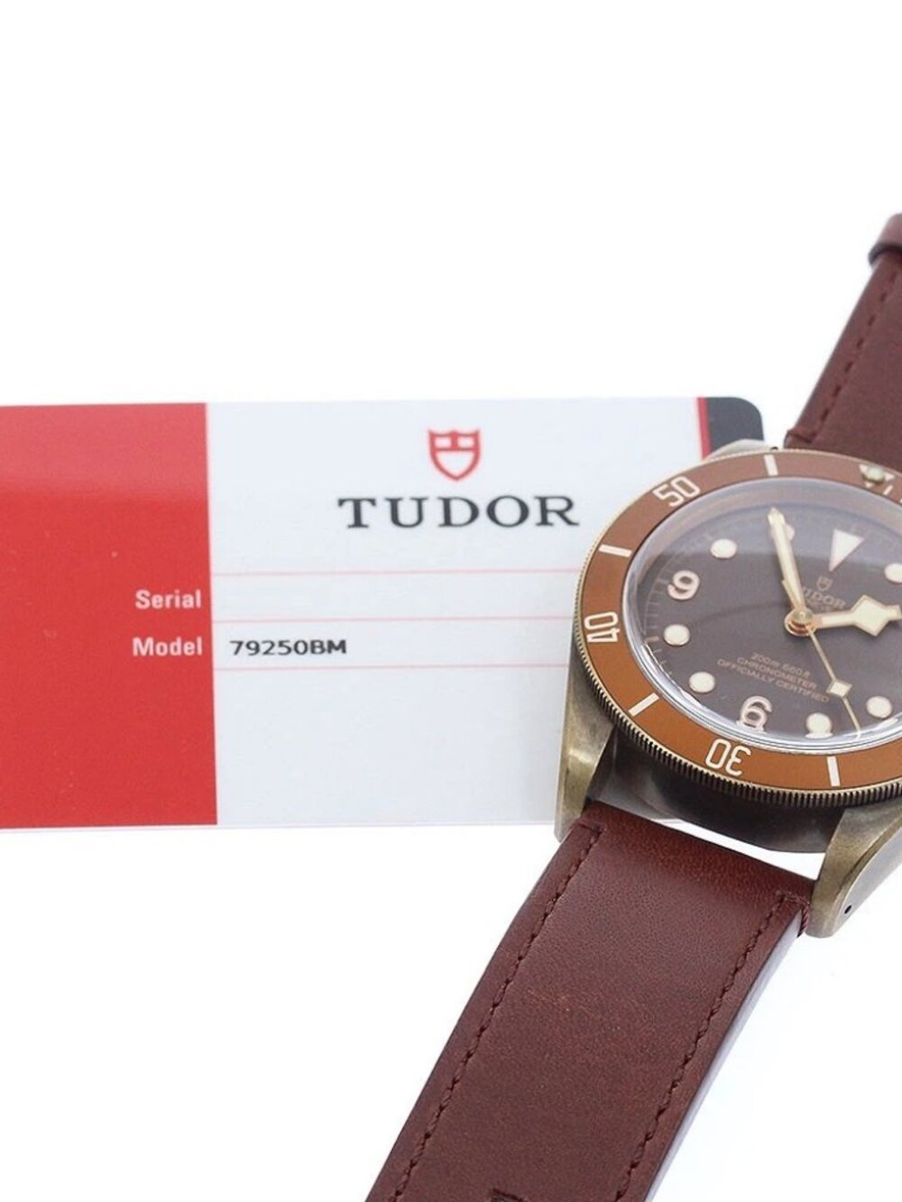 TUDOR Heritage Black Bay Bronze 79250BM Brown Dial Automatic Men's Watch_957894 - Picture 2 of 7